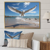 Blue Seagulls In Flight At Beach - Seagull Living Room Wall Art