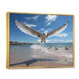 Blue Seagulls In Flight At Beach - Seagull Living Room Wall Art