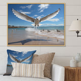 Blue Seagulls In Flight At Beach - Seagull Living Room Wall Art