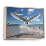 Blue Seagulls In Flight At Beach - Seagull Living Room Wall Art