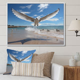 Blue Seagulls In Flight At Beach - Seagull Living Room Wall Art