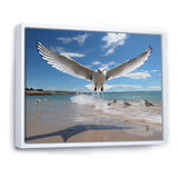 Blue Seagulls In Flight At Beach - Seagull Living Room Wall Art