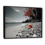 Grey Red Beach Seashell Symphony - Seashell Canvas Wall Art