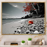 Grey Red Beach Seashell Symphony - Seashell Canvas Wall Art