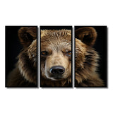 Bear Portrait - Multi-Panels