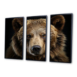 Bear Portrait - Multi-Panels
