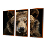 Bear Portrait - Multi-Panels