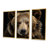 Bear Portrait - Multi-Panels