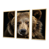 Bear Portrait - Multi-Panels