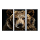 Bear Portrait - Multi-Panels