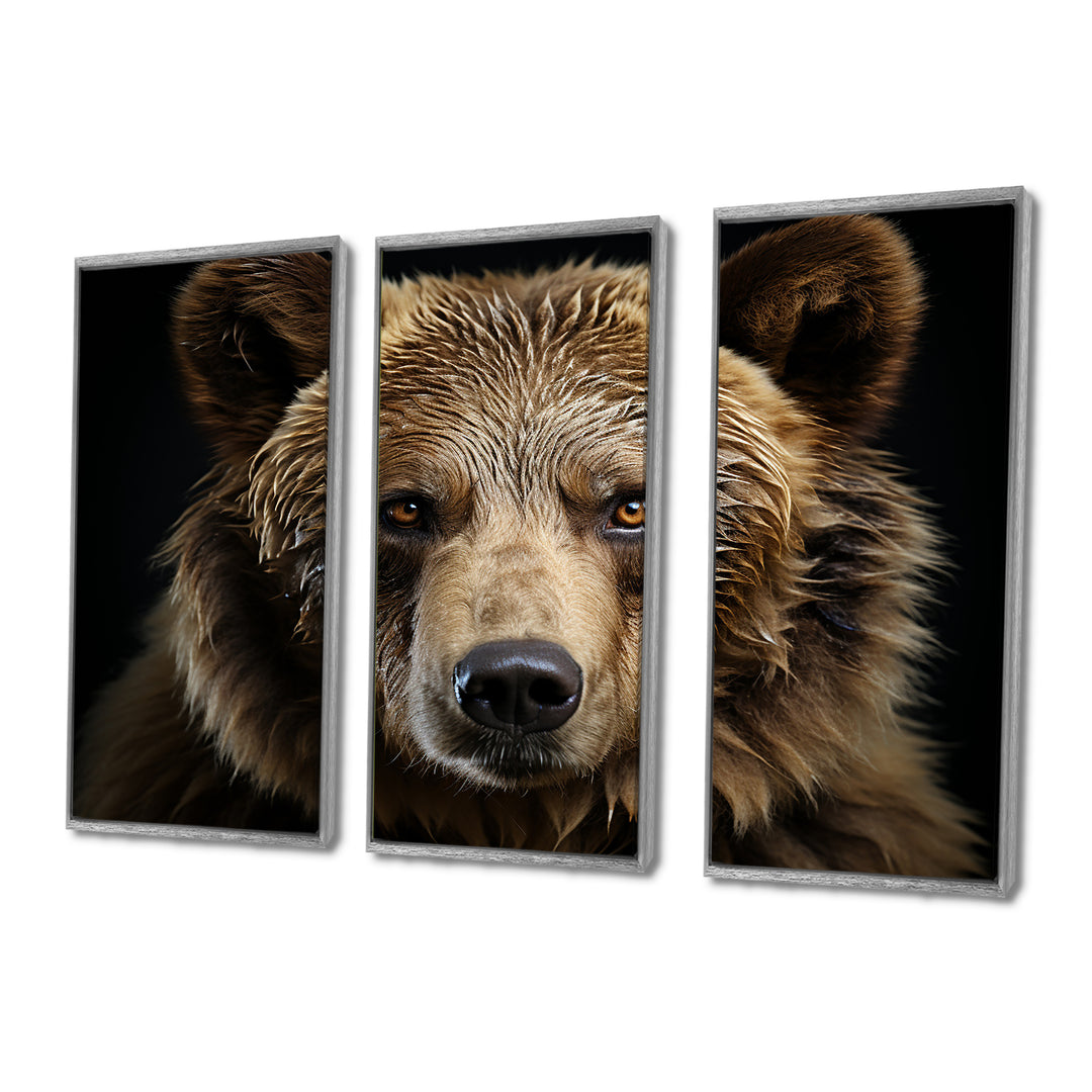 Bear Portrait - Multi-Panels