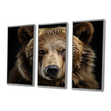 Bear Portrait - Multi-Panels