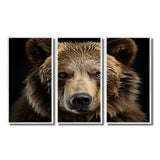 Bear Portrait - Multi-Panels
