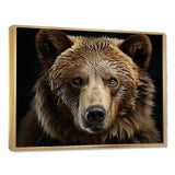 Bear Portrait - Animals Canvas Wall Art