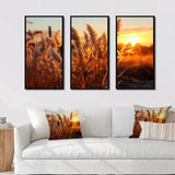 Birds Of Paradise Field VIII - 3-Piece Canvas Wall Art