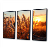 Birds Of Paradise Field VIII - 3-Piece Canvas Wall Art