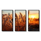 Birds Of Paradise Field VIII - 3-Piece Canvas Wall Art