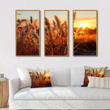 Birds Of Paradise Field VIII - 3-Piece Canvas Wall Art