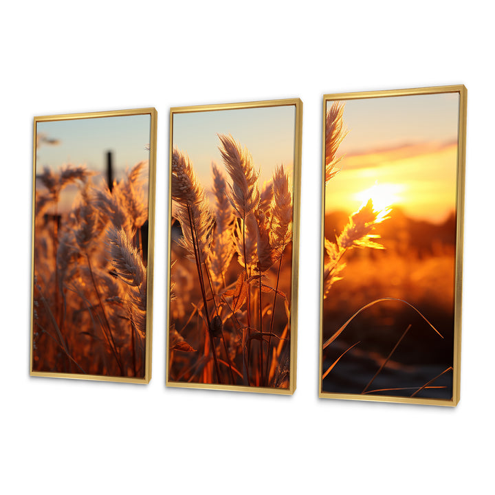 Birds Of Paradise Field VIII - 3-Piece Canvas Wall Art