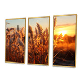 Birds Of Paradise Field VIII - 3-Piece Canvas Wall Art