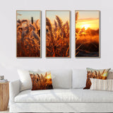 Birds Of Paradise Field VIII - 3-Piece Canvas Wall Art