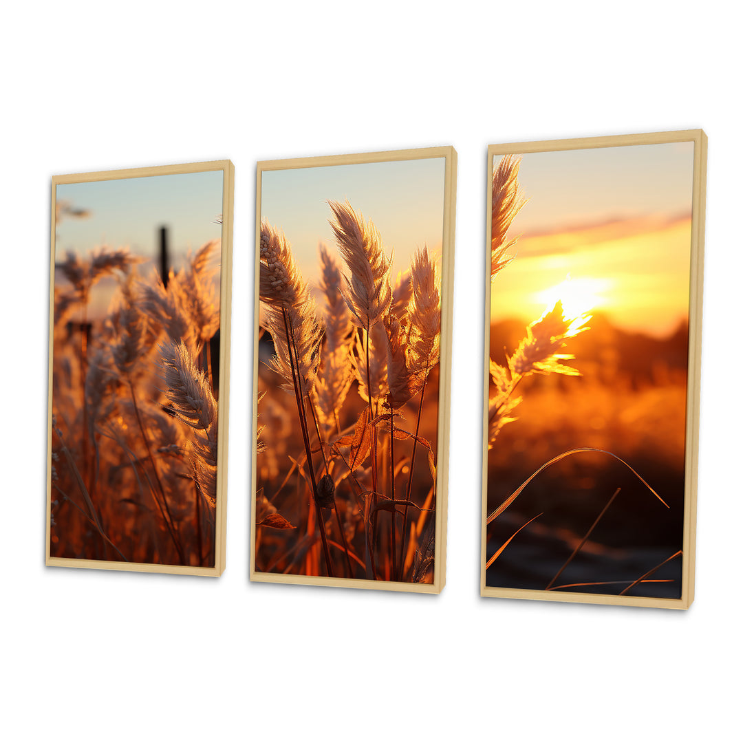Birds Of Paradise Field VIII - 3-Piece Canvas Wall Art