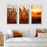 Birds Of Paradise Field VIII - 3-Piece Canvas Wall Art