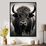 Bison Bison Grazing - Animals Canvas Wall Art