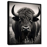 Bison Bison Grazing - Animals Canvas Wall Art