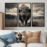 Bison Majestic Bison - Multi-Panel Canvas Prints