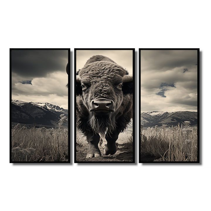 Bison Majestic Bison - Multi-Panel Canvas Prints