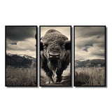 Bison Majestic Bison - Multi-Panel Canvas Prints