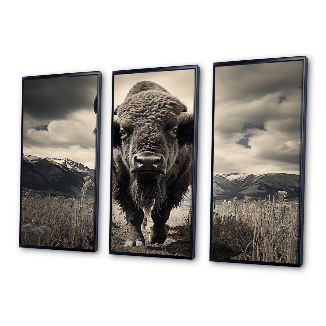 Bison Majestic Bison - Multi-Panel Canvas Prints