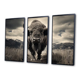 Bison Majestic Bison - Multi-Panel Canvas Prints