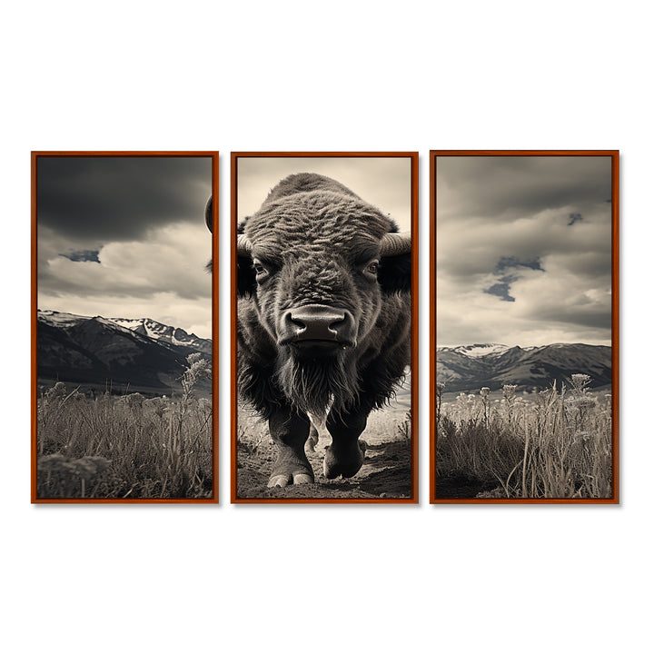 Bison Majestic Bison - Multi-Panel Canvas Prints