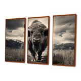 Bison Majestic Bison - Multi-Panel Canvas Prints