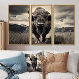 Bison Majestic Bison - Multi-Panel Canvas Prints