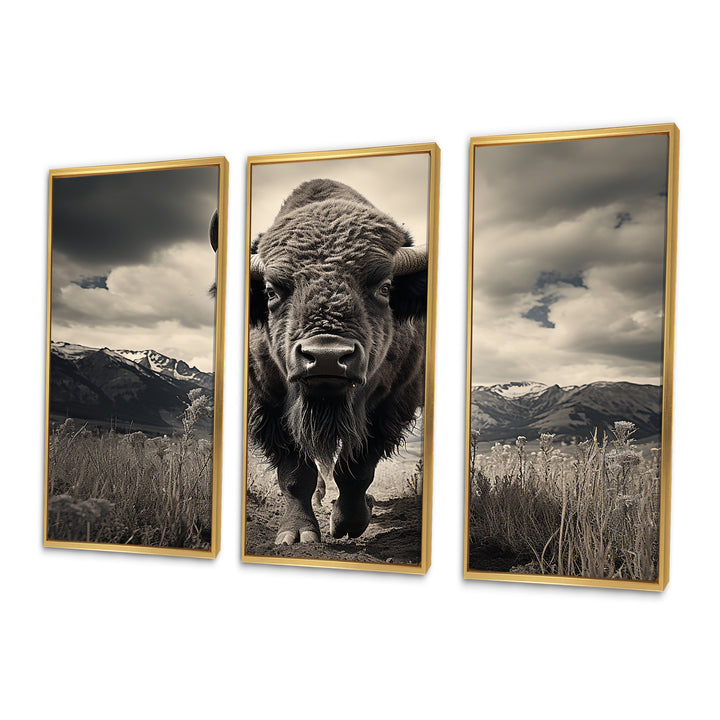 Bison Majestic Bison - Multi-Panel Canvas Prints