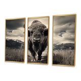 Bison Majestic Bison - Multi-Panel Canvas Prints
