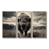 Bison Majestic Bison - Multi-Panel Canvas Prints