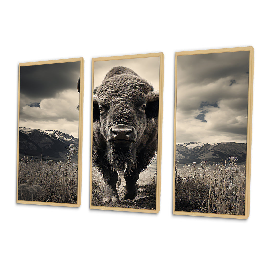 Bison Majestic Bison - Multi-Panel Canvas Prints