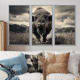 Bison Majestic Bison - Multi-Panel Canvas Prints