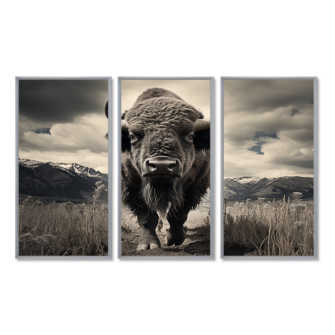 Bison Majestic Bison - Multi-Panel Canvas Prints