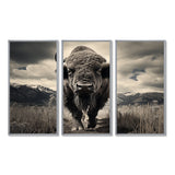 Bison Majestic Bison - Multi-Panel Canvas Prints