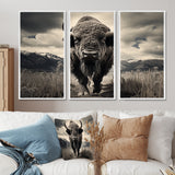 Bison Majestic Bison - Multi-Panel Canvas Prints
