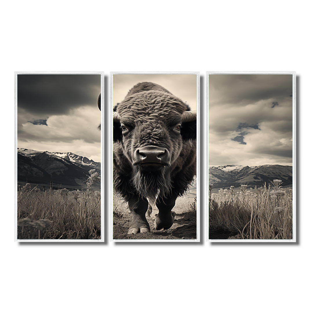 Bison Majestic Bison - Multi-Panel Canvas Prints