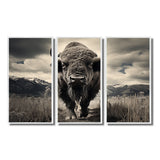 Bison Majestic Bison - Multi-Panel Canvas Prints