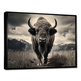 Bison Majestic Bison - Animals Canvas Wall Art