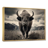 Bison Majestic Bison - Animals Canvas Wall Art