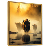 Yellow Black Buffalo Ethereal Grazing - Buffalo Canvas Wall Art